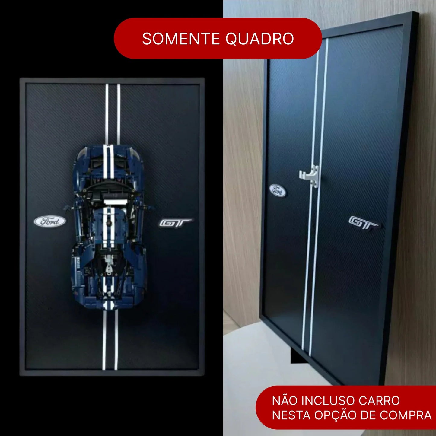 Carbon Fiber Frame - Ford GT