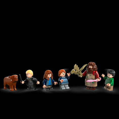 Hagrid's Hut: An Unexpected Visit (896 pieces)