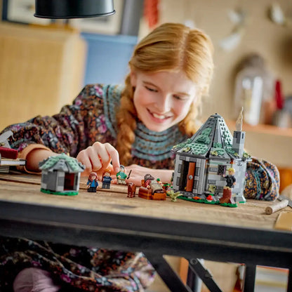 Hagrid's Hut: An Unexpected Visit (896 pieces)