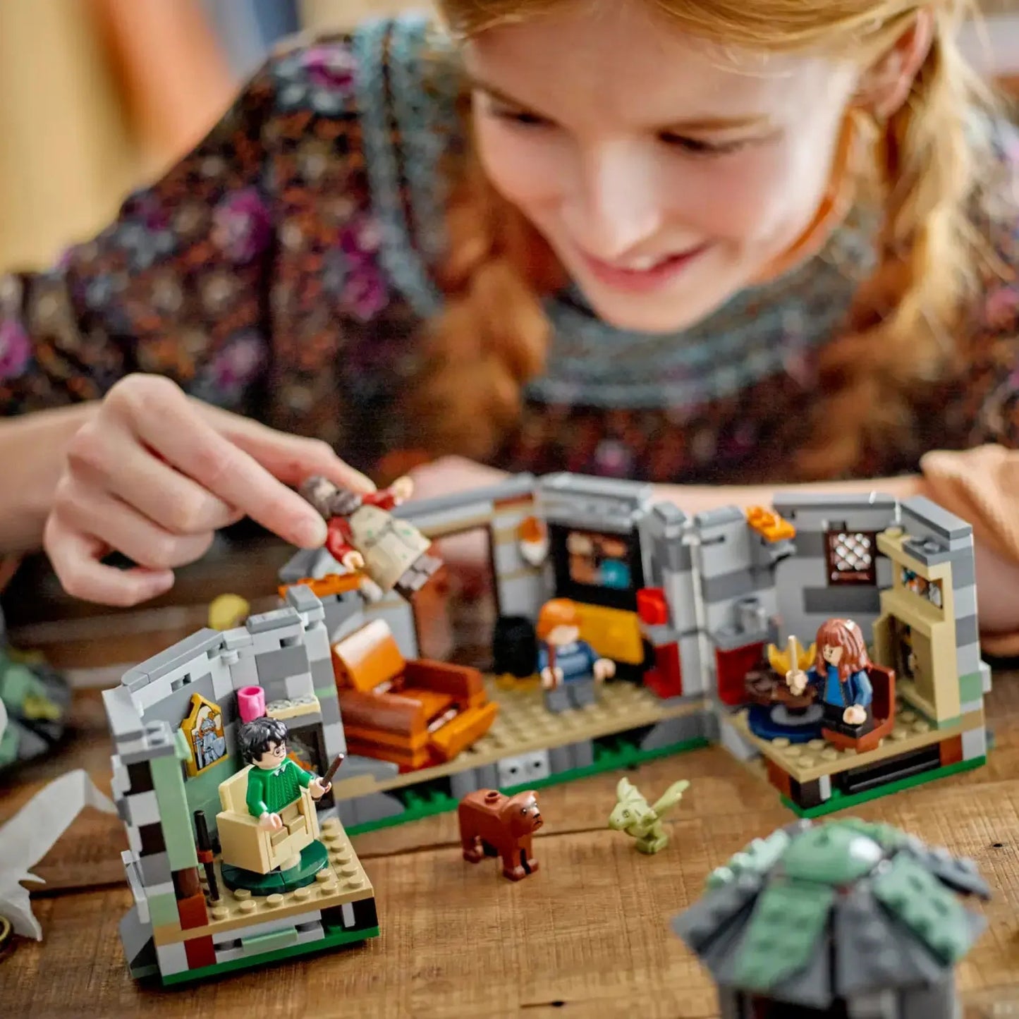 Hagrid's Hut: An Unexpected Visit (896 pieces)