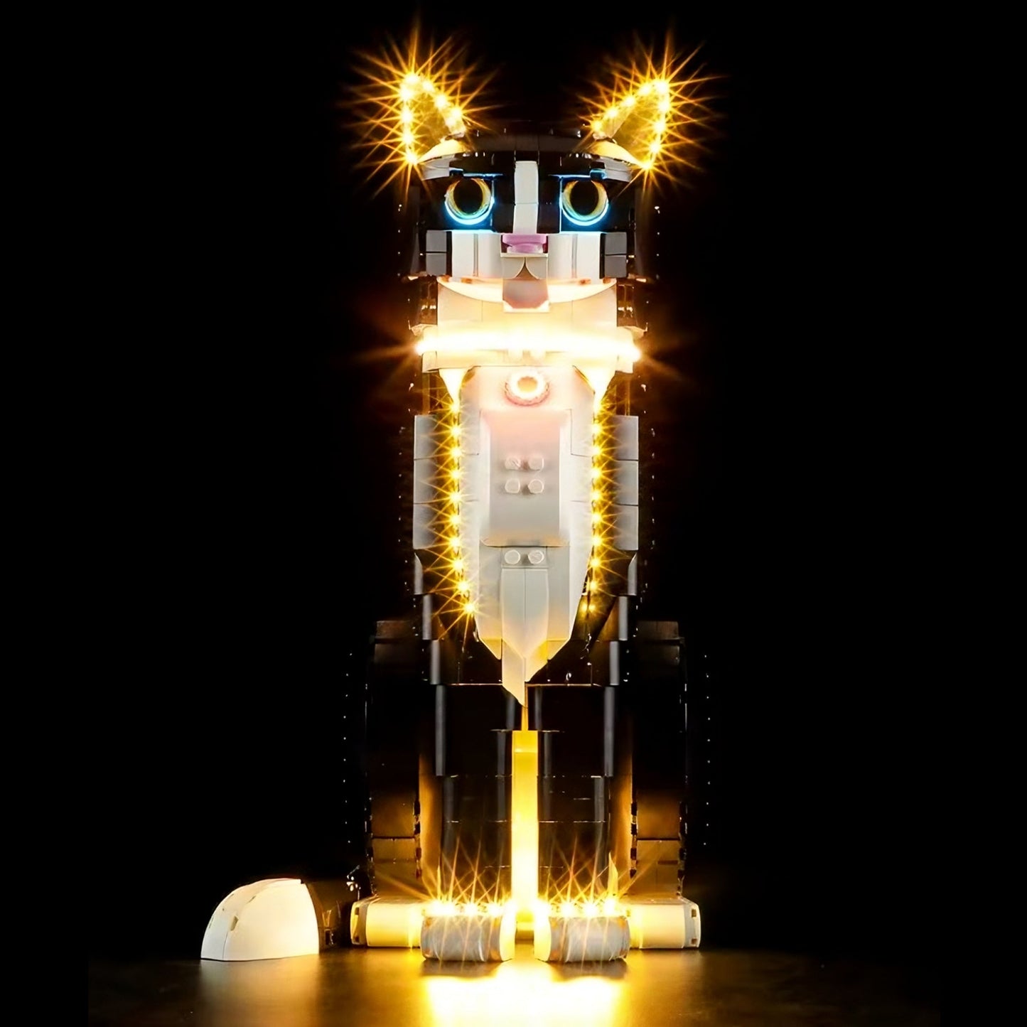 Smoking Cat Lighting