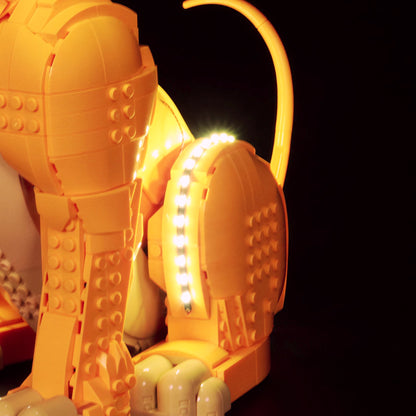 Lighting for Simba, The Lion King