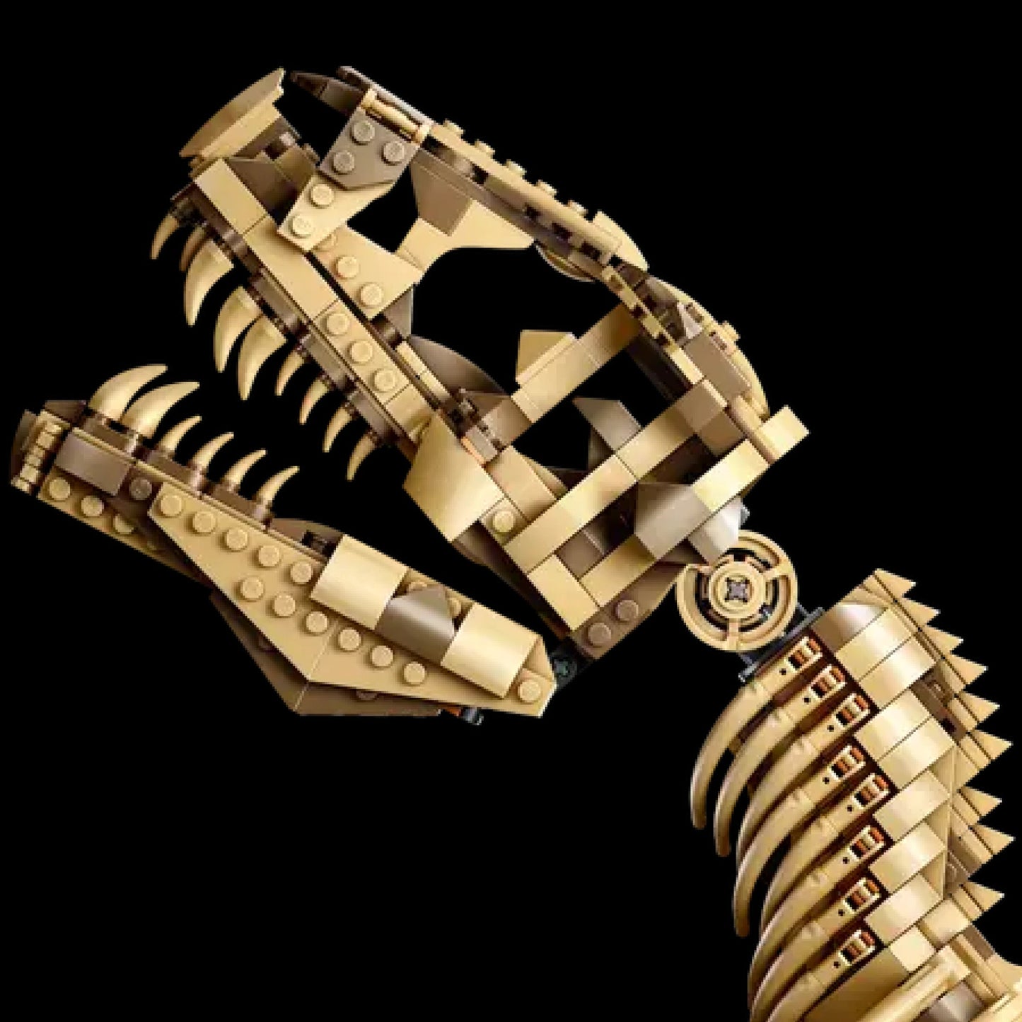 Tyrannosaurus Rex Fossil from Jurassic Park (3145 pieces)